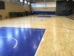 美凯Sport经典系列图2