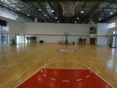 美凯Sport经典系列图3