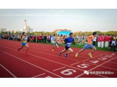 混合型塑胶跑道图2