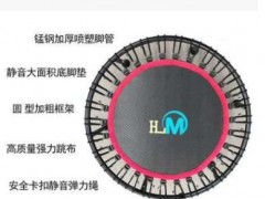 厂家直销定制大型室内蹦床 健身成人蹦床 蹦蹦床跳床儿童乐园图2