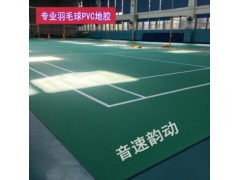 羽毛球地胶 乒乓球塑胶运动地板 健身房地板胶 PVC地胶水晶沙4.5图1