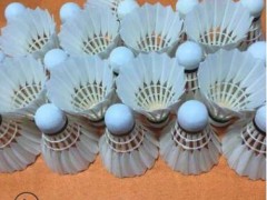 耐打羽毛球场馆入门训练比赛羽毛球飞行稳定图2