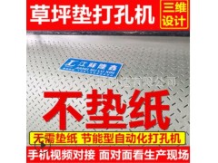 无需垫纸全自动冲孔机 EVA泡棉珍珠棉皮革草坪垫冲孔机