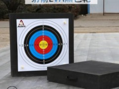 射箭靶EVA靶子室外靶子弓箭射箭体育器材反曲传统弓箭靶50*50*5cm图2