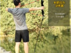 弓箭射箭拉力器 实木弓把磅数可调 直拉反曲复合竞技拉力训练器图3