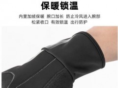 骑行手套冬季保暖抗寒防风手套全指滑雪摩托车户外手套图2