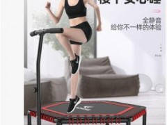厂家批发蹦蹦床 家 网面蹦蹦床运动跳床 用成人儿童弹力绳跳床图2