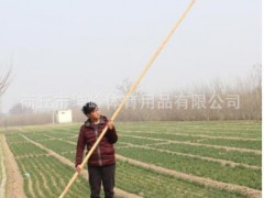 武术棍太极棍带黄皮枪杆陈氏十三杆3米抖杆太极大杆白蜡杆4米图2