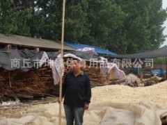 武术棍太极棍带黄皮枪杆陈氏十三杆3米抖杆太极大杆白蜡杆4米图3