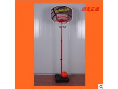 盛盈儿童篮球架玩具宝宝可升降投篮体育玩具室内户外亲子休闲运动图3