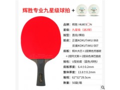 辉胜专业九星乒乓球拍专业训练比赛九星级乒乓球拍单支装乒乓球拍