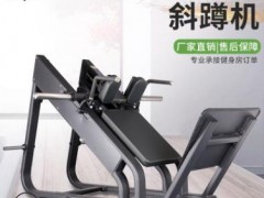 商用倒蹬训练器45度斜蹲机肩部训练器专业健身房腿部力量健身器材图3