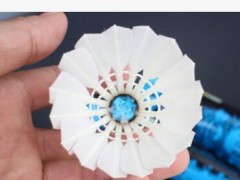 亚狮龙6号比赛俱乐部用羽毛球 高档稳定耐打RSL6图2