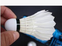 亚狮龙6号比赛俱乐部用羽毛球 高档稳定耐打RSL6图3
