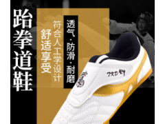 厂家直销新款跆拳道鞋儿童男训练软底初学成人武术鞋透气一件代发图2