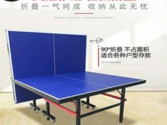 定制家用室外标准乒乓球桌 户外可移动折叠乒乓球台