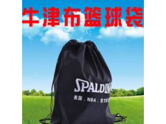 批发定制 篮球包 户外运动背包 休闲运动背包 足球包 可定制logo图3
