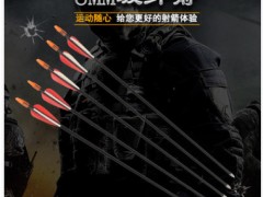 厂家直销反曲复合弓 8mm玻纤箭支 外套箭头箭尾防断尾图1
