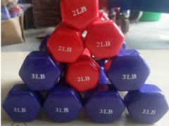 哑铃女士瘦手臂一对健身家用运动2LB3LB4LB5LB儿童女生小亚铃图2