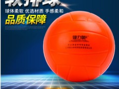 现货供应健力奥软排球 手感柔软海绵内胆胶粘气排球 户外运动排球图2
