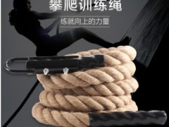 臂力抓力训练健身器材 体能爆发力锻炼攀爬绳 部队消防演练用麻绳图2