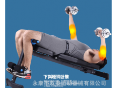 标准型仰卧板哑铃凳多功能腹肌板仰卧起坐健身器材家用运动椅图2