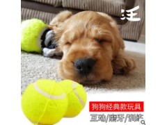 网球厂家 网球用品批发 训练网球 宠物网球图2