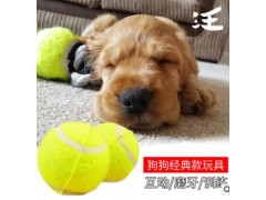 网球厂家供应化纤面料网球 训练宠物网球批发 宠物啃咬练习网球图2
