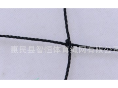 PE合股绳四包边排球网训练排球网标准比赛排球网聚乙烯排球网图2