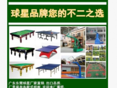 双鱼201蓝面折叠乒乓球台 乒乓球桌 双鱼正品乒乓球台图3
