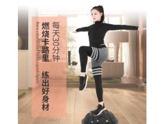 工厂直销 半圆平衡球波速球 加厚防爆充气半球健身器材瑜伽球批发图2