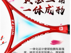 伟强正品全碳素太极柔力球拍套装初学者不易掉球中老年学生通用拍图3
