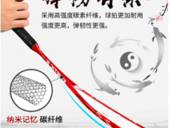 伟强正品全碳素太极柔力球拍套装初学者不易掉球中老年学生通用拍图2