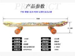 永康吉米厂家直销 双翘枫木凹板四轮成人专业公路滑板 批发彩色磨图3