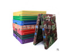 厂家直销儿童舞蹈垫 瑜伽垫折叠体操垫健身练功仰卧起坐海绵垫子图2