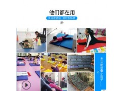 体操垫子舞蹈垫子两折叠海绵垫仰卧起坐垫体育瑜伽训练功垫空翻垫图3