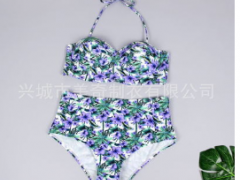 2019欧美爆款印花多色女士分体泳衣现货厂家现货图3