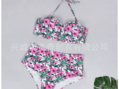 2019欧美爆款印花多色女士分体泳衣现货厂家现货图2