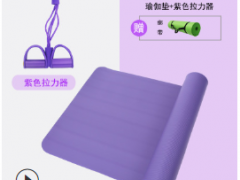 瑜伽垫健身运动套装拉力器瑜伽砖瑜伽球多种搭配一件代发可定制图3