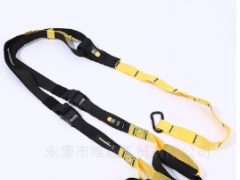悬挂式训练带阻力带专业全身健身带拉力带拉力绳P1 家用健身器材图3