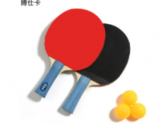 威尼逊 一件代发横拍爆款乒乓球拍初学者 套装学生练习 体育用品图2