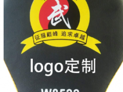 厂家批发成人儿童拳击散打弧形泰拳拳靶手靶训练手靶器材定制批发图2