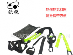 厂家定制悬挂式训练带健身房拉力器拉力绳抗阻力训练家用悬吊训练图2