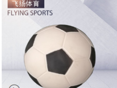 厂家供应批发 软式练习足球 少儿趣味田径运动训练软式4号5号足球图3