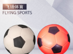 厂家供应批发 软式练习足球 少儿趣味田径运动训练软式4号5号足球图1