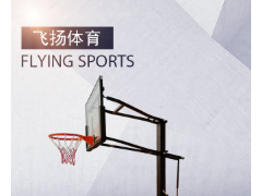 厂家供应批发成人儿童青少年手摇式升降电动手摇升降式休闲篮球架图2