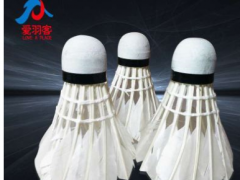 厂家直销 质量放心 各种羽毛球图2
