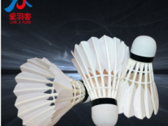 爱羽客羽毛球 训练用球 超级耐打 稳定 厂家直销质量保证图3