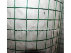 供应电焊网 养殖 上海电焊网 粉墙电焊网 电焊网工艺品图2