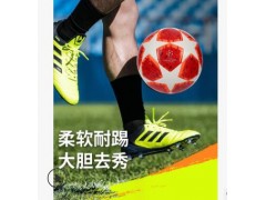 英超西甲欧冠颗粒耐磨PU5号足球5号成人学生校园训练比赛考试足球图3